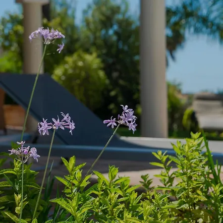 Villa Near In With Heated Pool Marbella